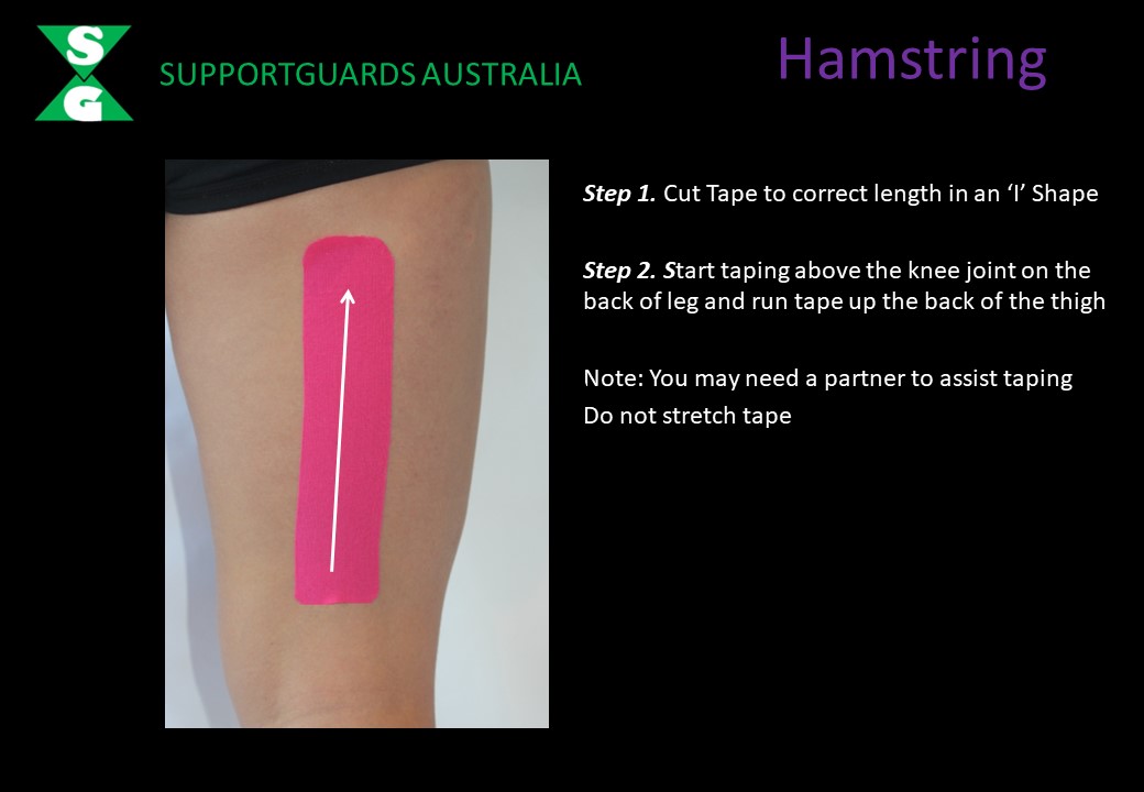 Hamstring 1